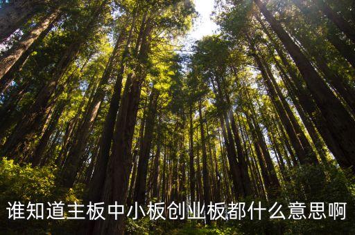 誰(shuí)知道主板中小板創(chuàng)業(yè)板都什么意思啊