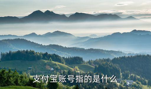 支付寶支付賬號(hào)是什么情況，支付寶賬號(hào)是指什么