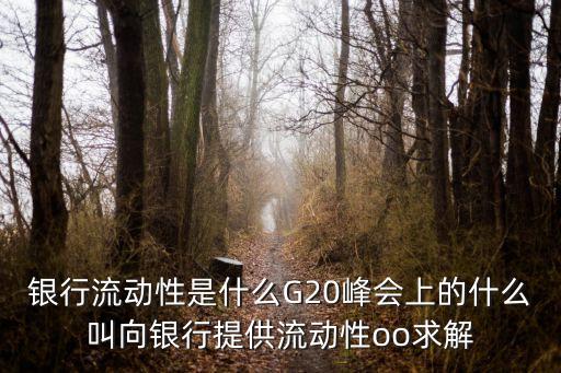 銀行流動性是什么G20峰會上的什么叫向銀行提供流動性oo求解