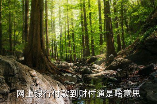 銀行短信財付通支付是什么，財付通短信支付是什么意思