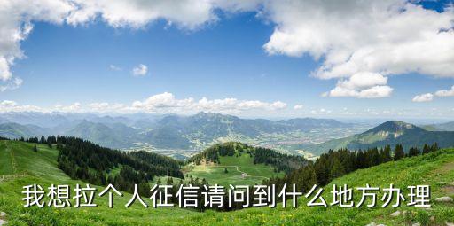 征信報(bào)告單子怎么拉，征信報(bào)告怎么打