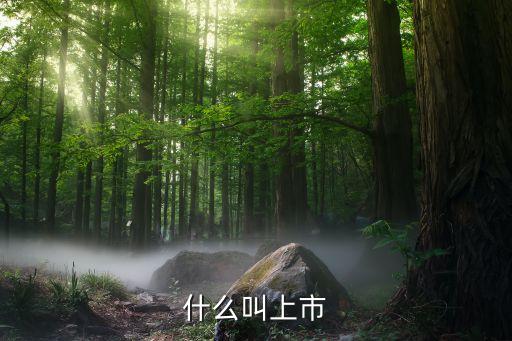 什么叫上市