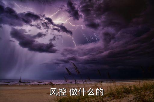 風(fēng)控回款員是干什么的，平安普惠里的風(fēng)控專員主要做什么業(yè)務(wù)