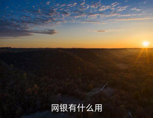 網銀有什么用