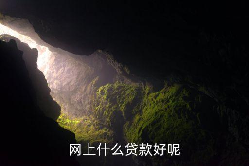 網(wǎng)上借貸用什么，國內(nèi)的網(wǎng)絡(luò)借貸平臺有哪些