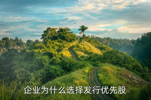 為什么投資優(yōu)先股，為什么投資者涌向優(yōu)先股