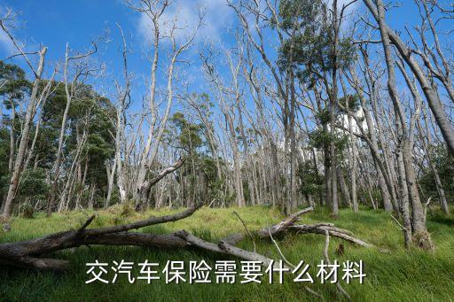 交汽車保險(xiǎn)需要什么材料