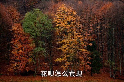 花唄怎么套現(xiàn)