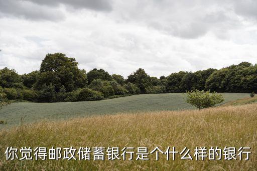你覺得郵政儲(chǔ)蓄銀行是個(gè)什么樣的銀行