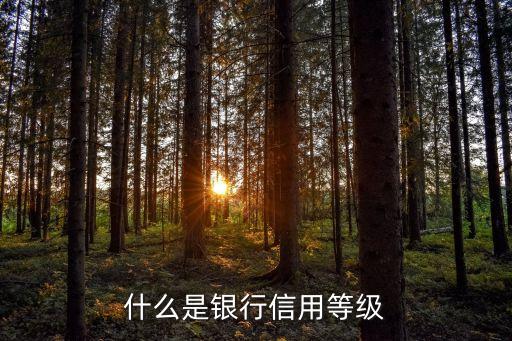 征信中等級是什么意思，什么是銀行信用等級