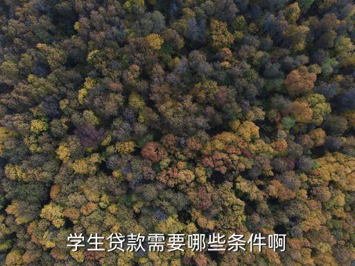 生源地貸款資格是什么，具備什么條件可以申請生源地助學(xué)貸款