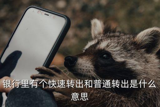 建行快速轉(zhuǎn)賬什么意思，建行網(wǎng)銀跨行實(shí)時(shí)轉(zhuǎn)賬什么意思