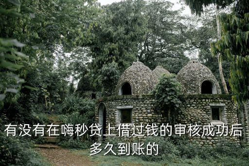 嗨秒貸什么時(shí)候下款，有沒(méi)有在嗨秒貸上借過(guò)錢的審核成功后多久到賬的