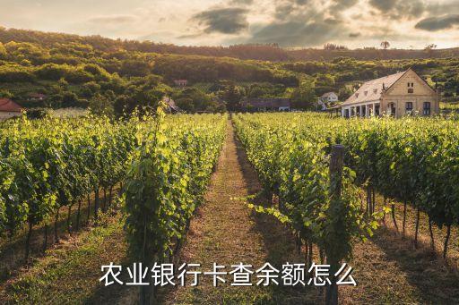 中國農(nóng)行怎么查余額查詢，農(nóng)業(yè)銀行卡查余額怎么