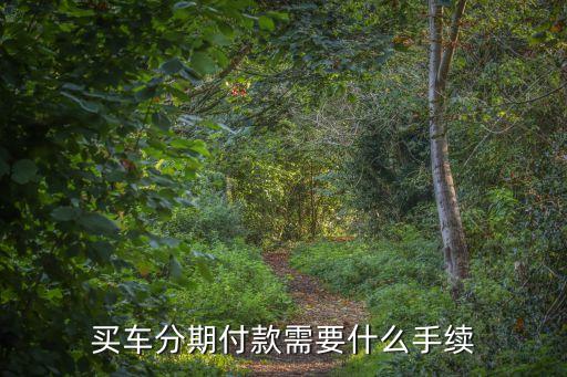 買車分期付款需要什么手續(xù)