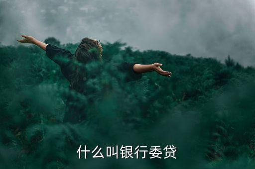 什么叫銀行委貸