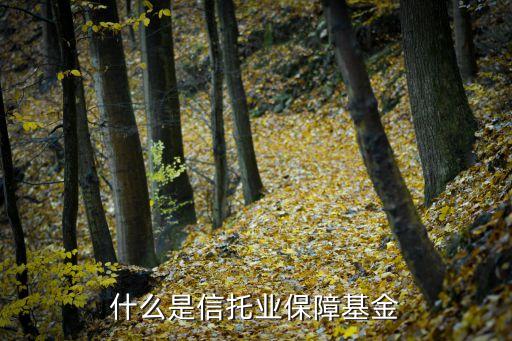什么是信托業(yè)保障基金