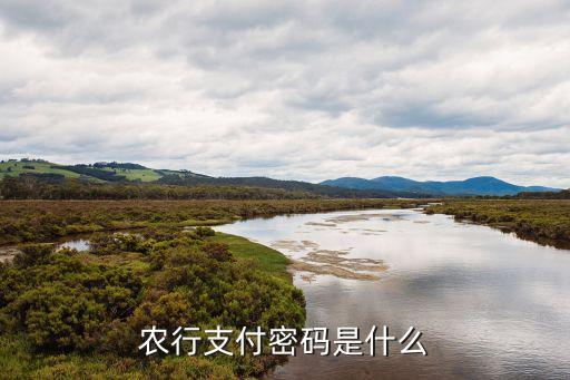 農(nóng)行支付密碼是什么