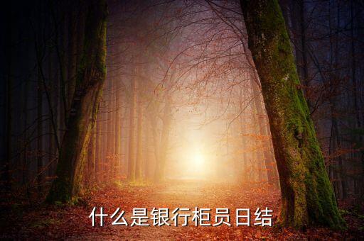 什么是銀行柜員日結(jié)