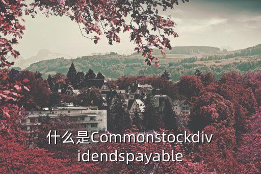 什么是Commonstockdividendspayable