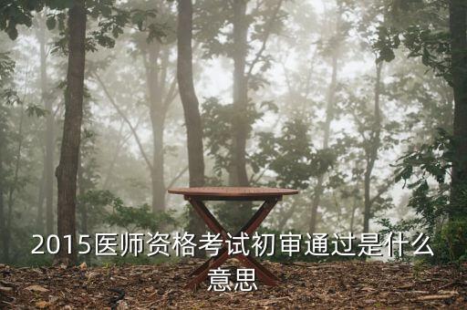 2015醫(yī)師資格考試初審?fù)ㄟ^是什么意思