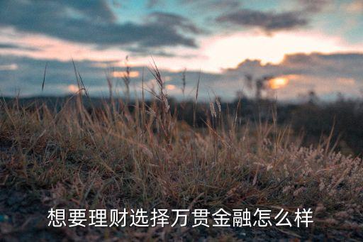 想要理財選擇萬貫金融怎么樣