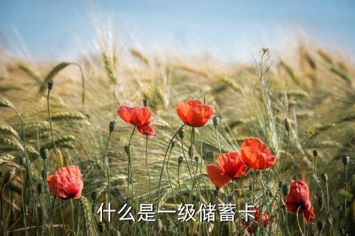 什么是銀行卡的一類(lèi)卡，什么是一級(jí)儲(chǔ)蓄卡
