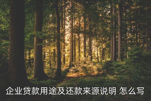 企業(yè)貸款用途及還款來(lái)源說(shuō)明 怎么寫
