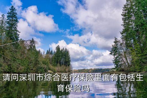 深圳綜合醫(yī)保包括什么材料，在線等 誰(shuí)知道深圳的綜合醫(yī)療保險(xiǎn)主要包括哪些