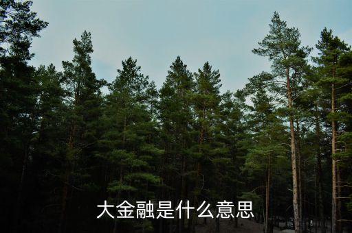 大金融是什么意思