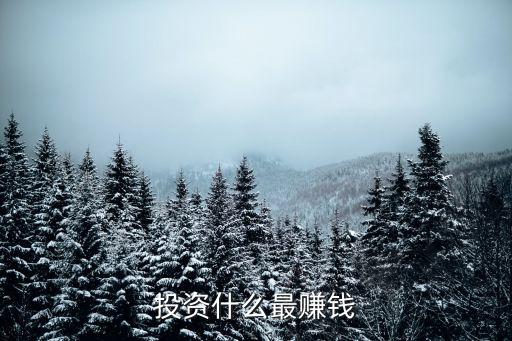 什么投資最賺錢，做什么生意最賺錢