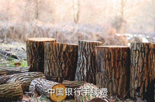 中國銀行手續(xù)費(fèi)