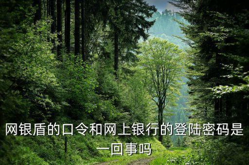 網(wǎng)銀盾口令和登錄密碼是什么，網(wǎng)銀盾密碼是什么