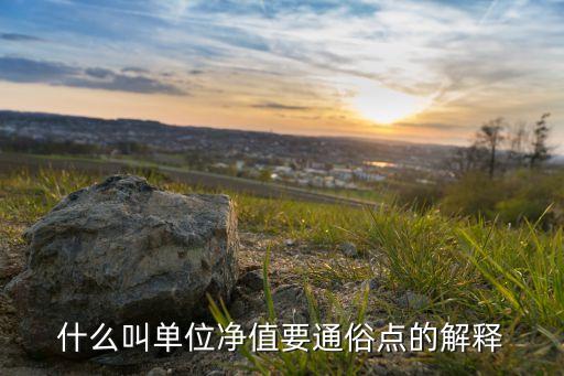 什么叫單位凈值要通俗點(diǎn)的解釋