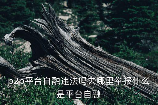 p2p平臺(tái)自融違法嗎去哪里舉報(bào)什么是平臺(tái)自融