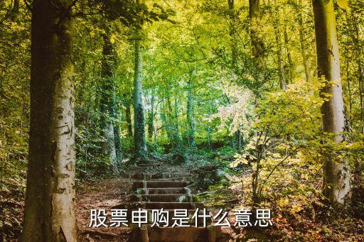 股票申購是什么意思