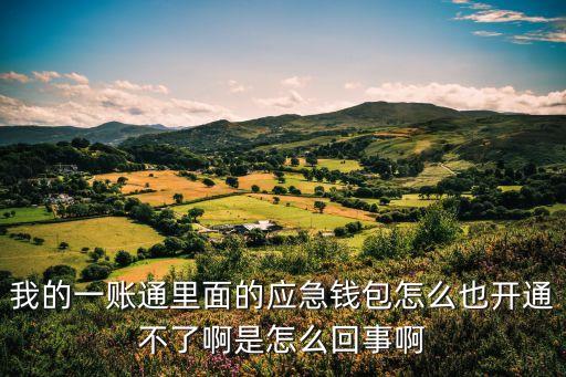 我的一賬通里面的應(yīng)急錢包怎么也開通不了啊是怎么回事啊
