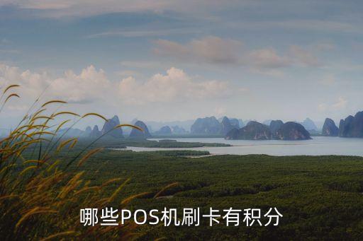 哪些POS機(jī)刷卡有積分