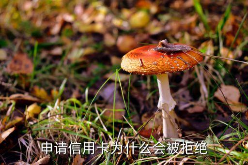 申請為什么被拒絕了，為什么我申請的貸款都被拒絕