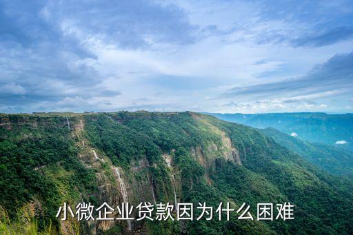 小微企業(yè)為什么信貸難，小微企業(yè)貸款因?yàn)槭裁蠢щy