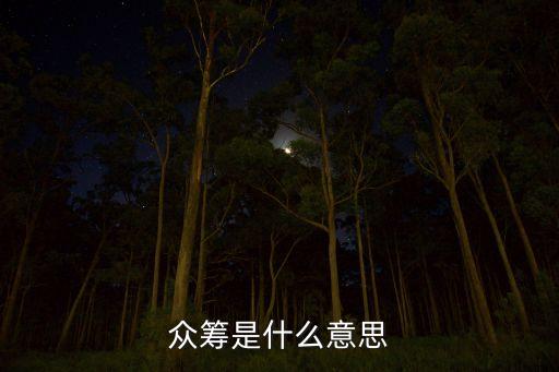 眾籌是什么意思