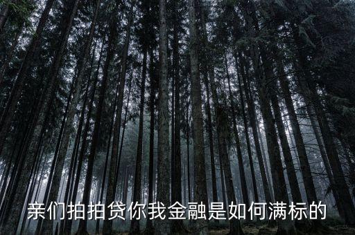 親們拍拍貸你我金融是如何滿標(biāo)的
