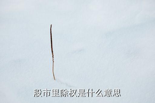 股票除權(quán)除息是什么意思，除權(quán)除息是什么意思