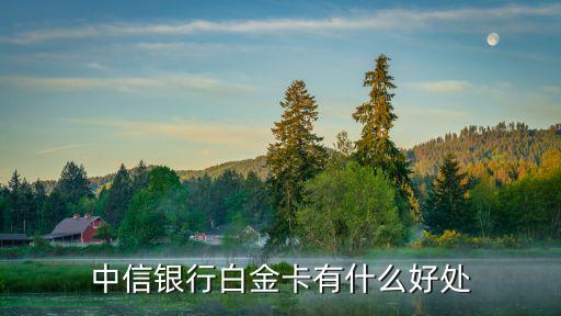 白金卡有什么用，白金卡能干什么