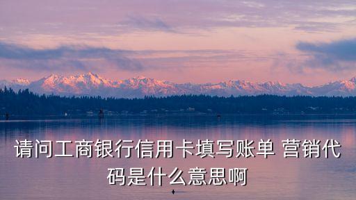 請問工商銀行信用卡填寫賬單 營銷代碼是什么意思啊