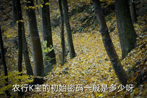 農(nóng)行k寶首次登錄密碼是什么，農(nóng)行K寶的初始密碼一般是多少呀