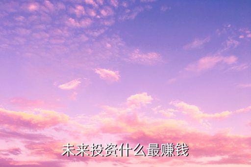 未來(lái)投資什么最賺錢(qián)