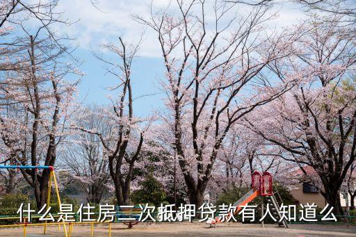 什么是住房二次抵押貸款有人知道么