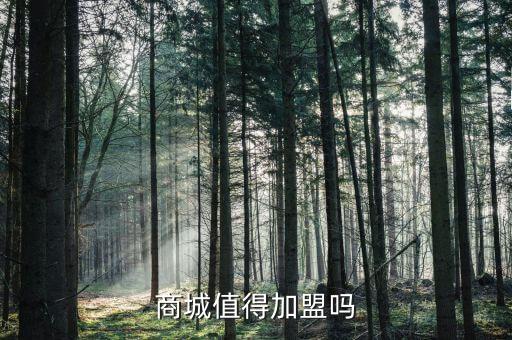 投資商城是什么公司嗎，互聯(lián)網(wǎng)商城投資是什么意思