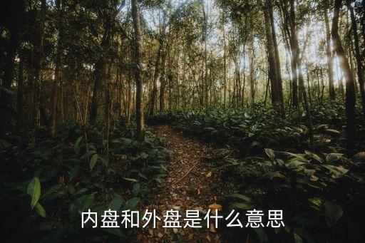 內(nèi)盤和外盤是什么意思